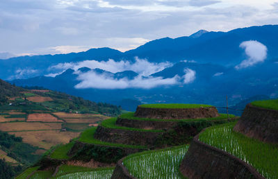 Scenic view of agricultural field against sky