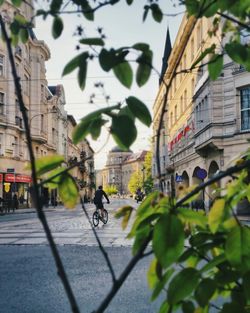 View of city street