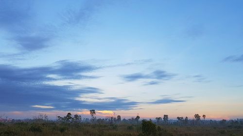 Panoramic view of trees against sky