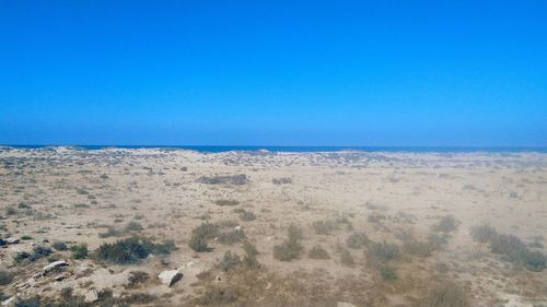 Scenic view of sea against clear blue sky
