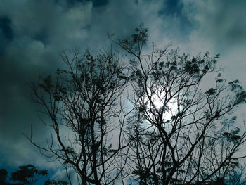 Low angle view of silhouette tree against sky