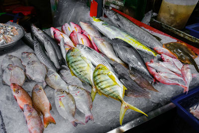 Many kinds of fresh fish on ice at seafood market.