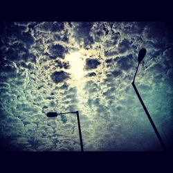 View of tree against sky