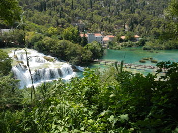 River amidst trees in forest