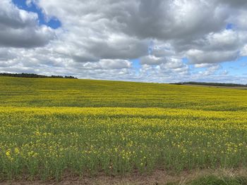 Scenic view of field against cloudy sky