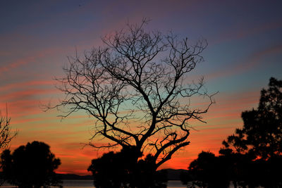 Silhouette trees on landscape against sky at sunset