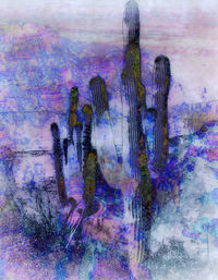 Digital composite image of sky