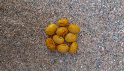 High angle view of fruits on land