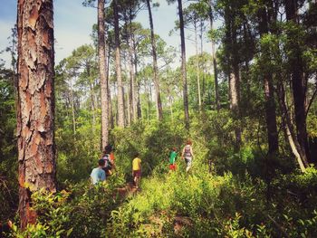 People in forest