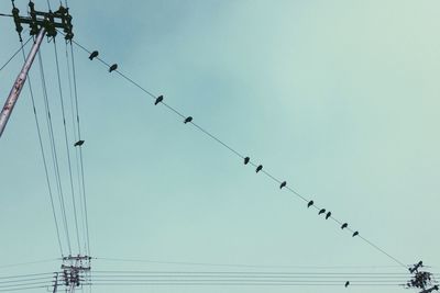 Low angle view of birds perching on power cables against clear sky