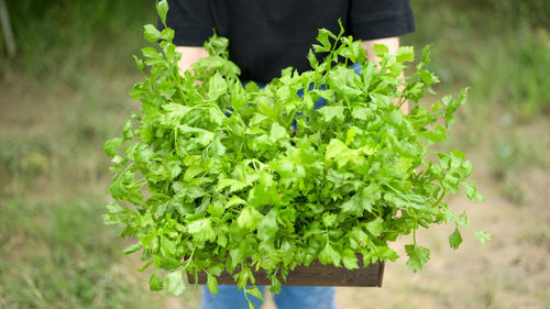 Full length of man standing by plant