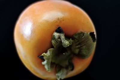 Close-up of orange fruit against black background