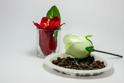 Close-up of red rose against white background