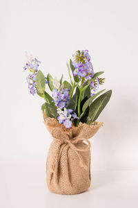 Close-up of flower vase against white background