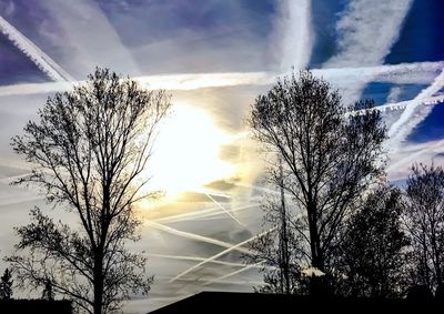 Low angle view of bare tree against sky
