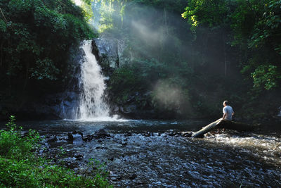 Waterfall in a forest