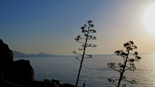 Scenic view of sunset over sea