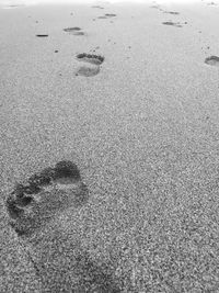 High angle view of footprints on sand at beach