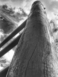 Low angle view of tree stump