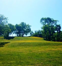 Trees on field against clear sky