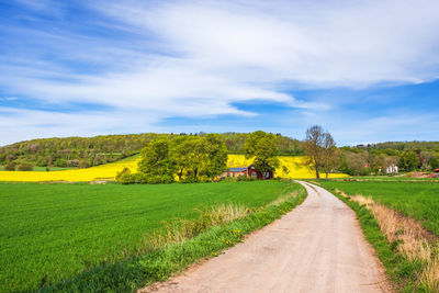 Dirt road to a farm in the countryside