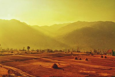 Scenic view of field against sky