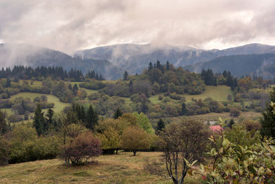 Scenic view of trees and mountains against sky