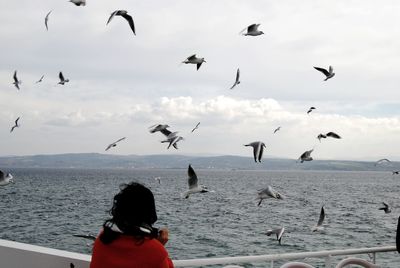 Birds flying over calm sea against the sky