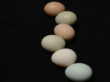 Close-up of eggs against black background