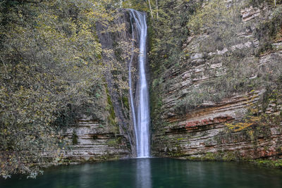 Scenic view of waterfall in forest