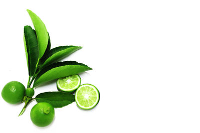 Close-up of green fruit against white background