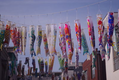 Traditional colorful japanese koi carp streamers celebrating children's day in japan