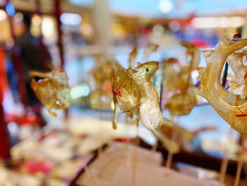 Close-up of fish for sale in market