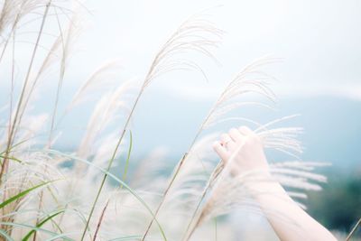 Low section of woman against sky
