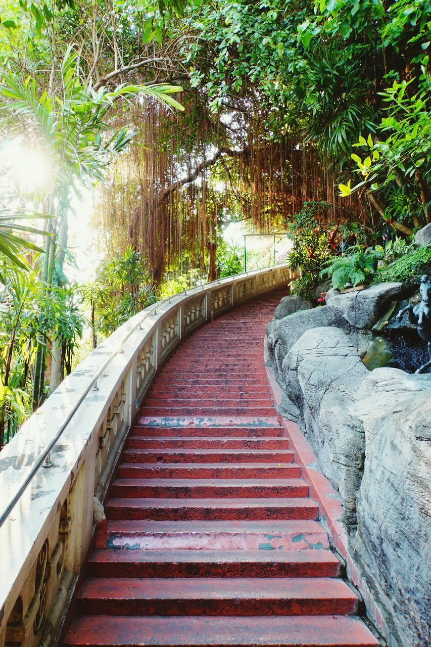 STAIRCASE AMIDST TREES