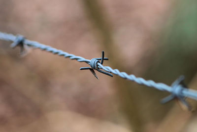 Close-up of barbed wire