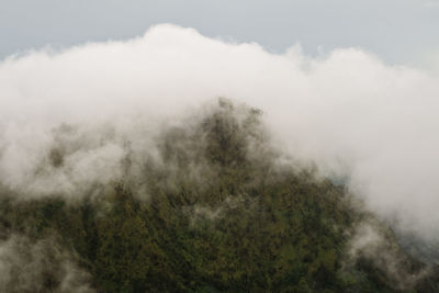 Scenic view of trees and mountains against sky