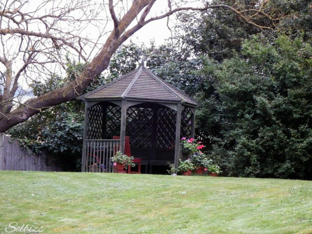 tree, built structure, architecture, building exterior, grass, house, wood - material, growth, gazebo, green color, day, nature, branch, field, plant, bench, outdoors, park - man made space, barn, lawn