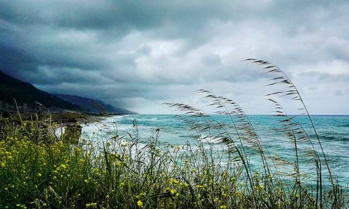 Scenic view of sea against cloudy sky