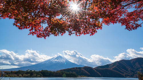 Scenic view of snowcapped mountain against sky