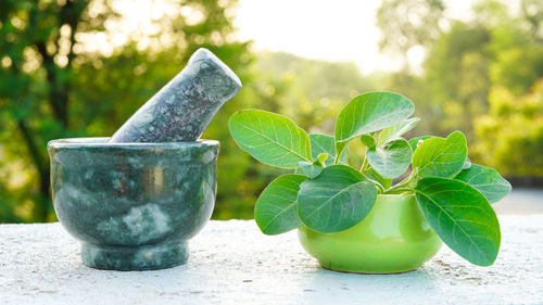 Close-up of mortar and pestle