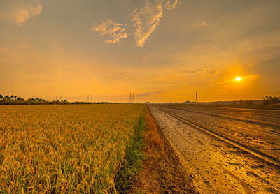 Scenic view of field against sky during sunset
