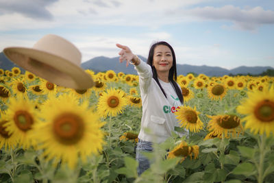 sunflower