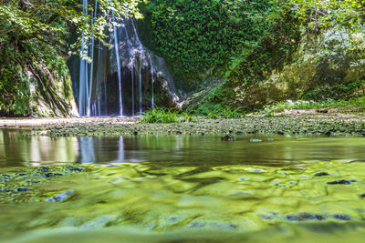 Scenic view of waterfall in forest