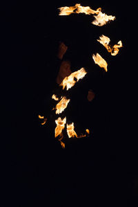 Close-up of bonfire against black background