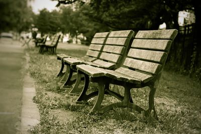 Chairs on grass against trees