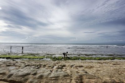 People on beach against sky