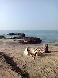 Scenic view of beach against clear sky