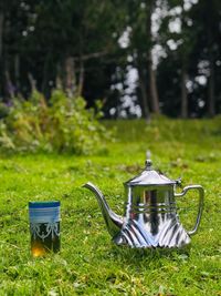 Close-up of tea on field