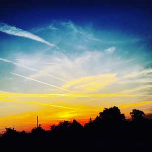 Silhouette of trees at sunset